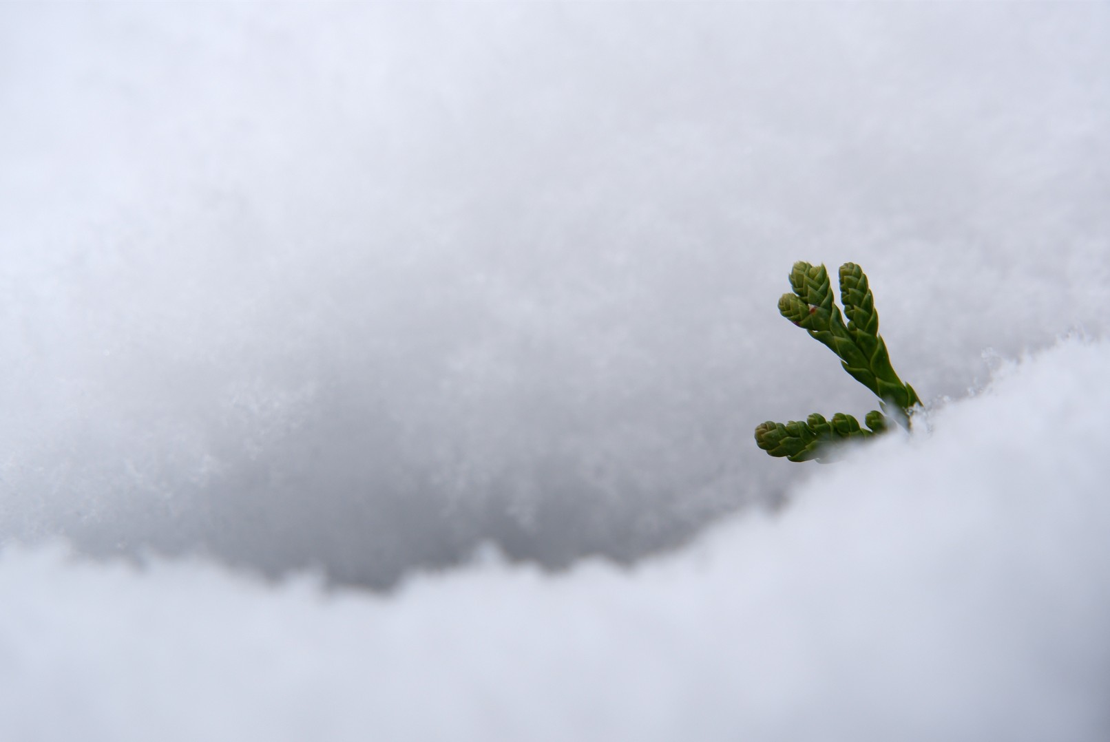 Capture d ecran 2026 01 07 125730