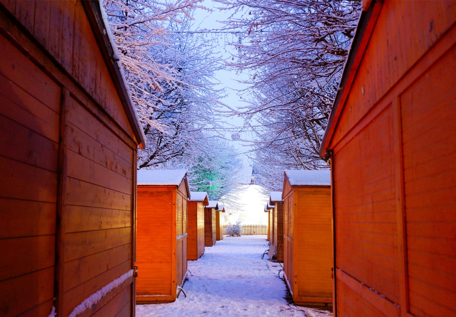 Capture d ecran 2026 01 05 185018