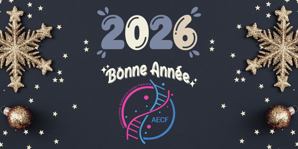 Signature d e mail bandeau bonne annee 2026 classique illustre bleu beige dore 1 