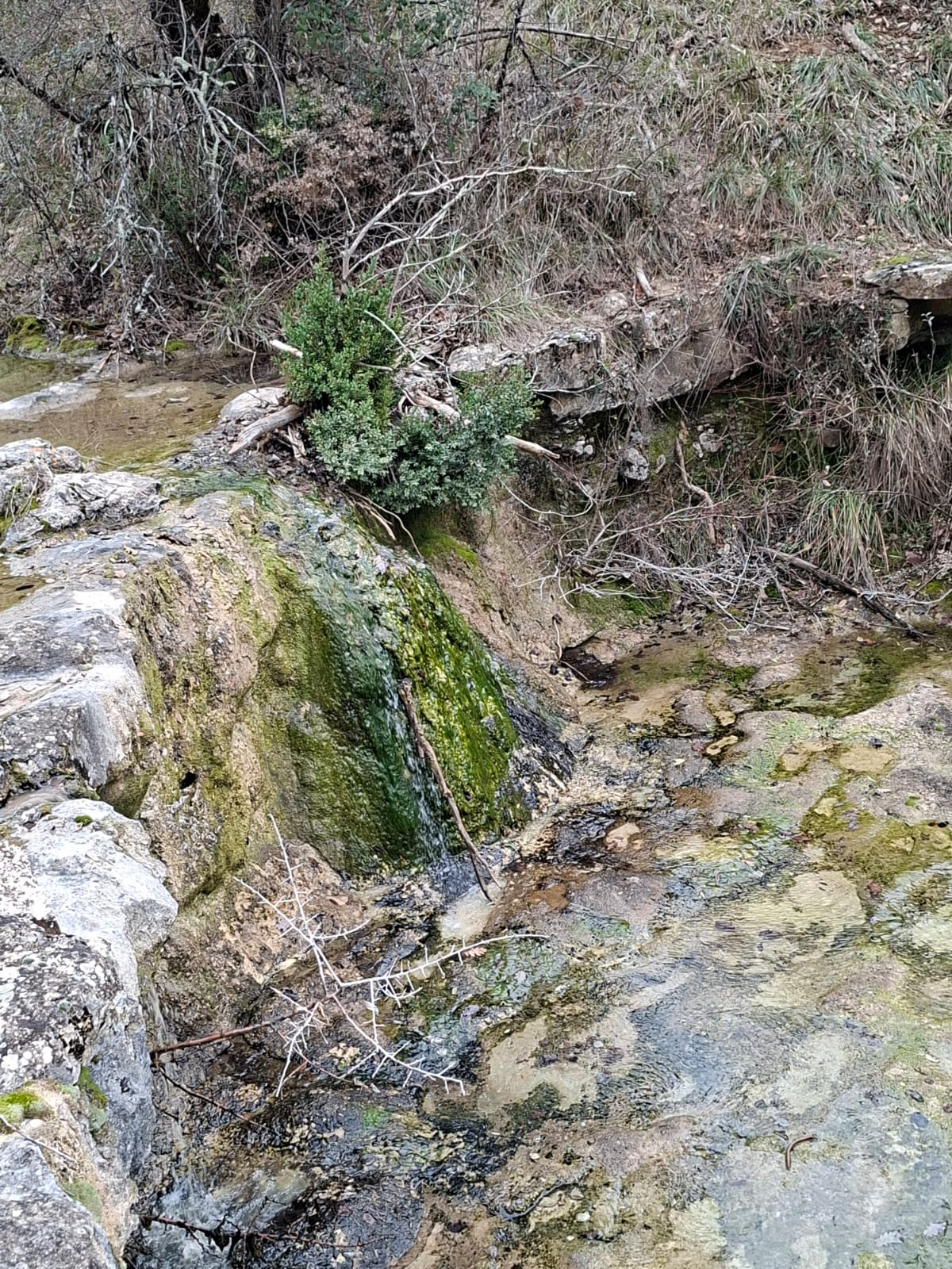 Img 20260108 wa00020001