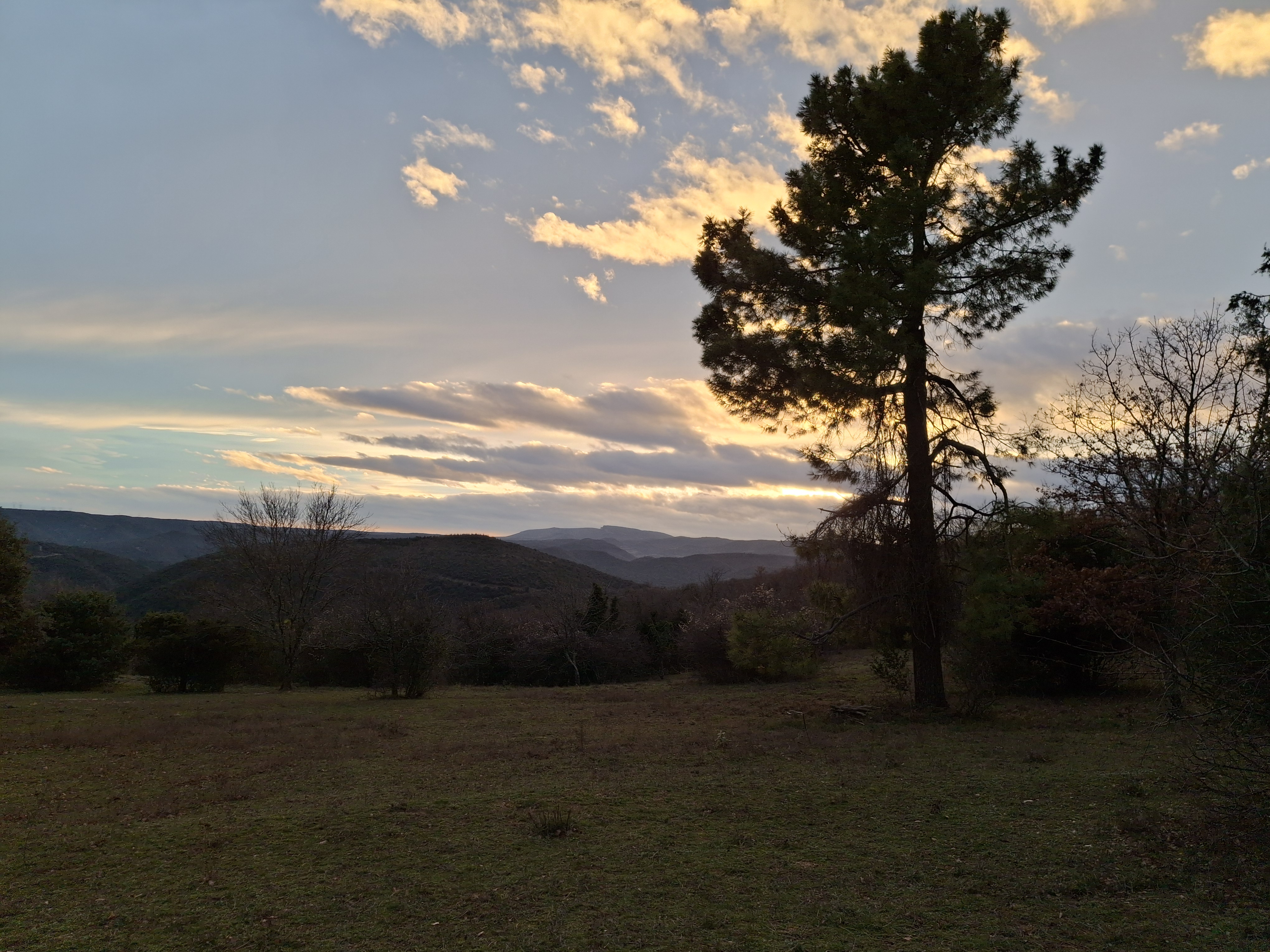 1000015441 19918572280559