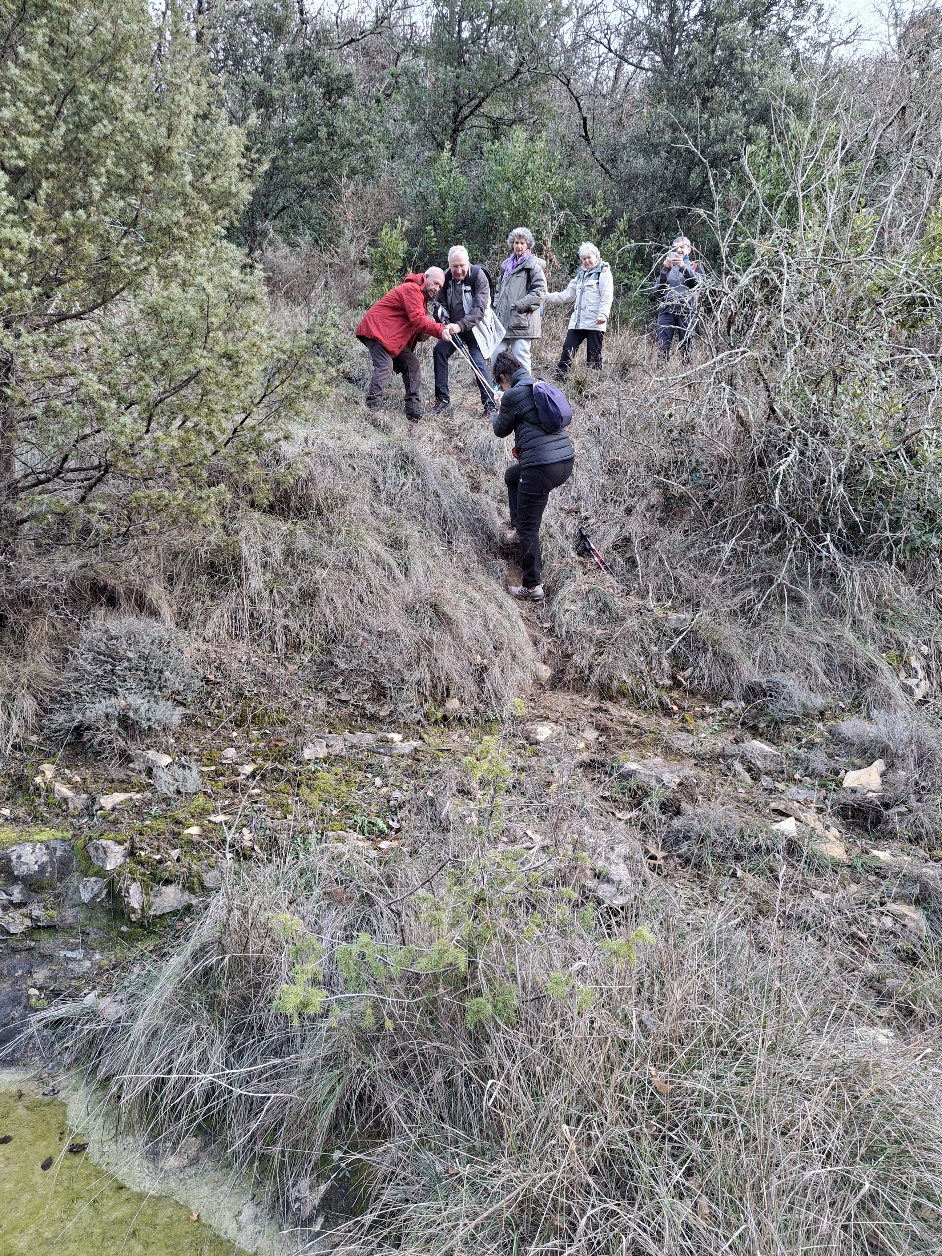 1000015437 19932843763164