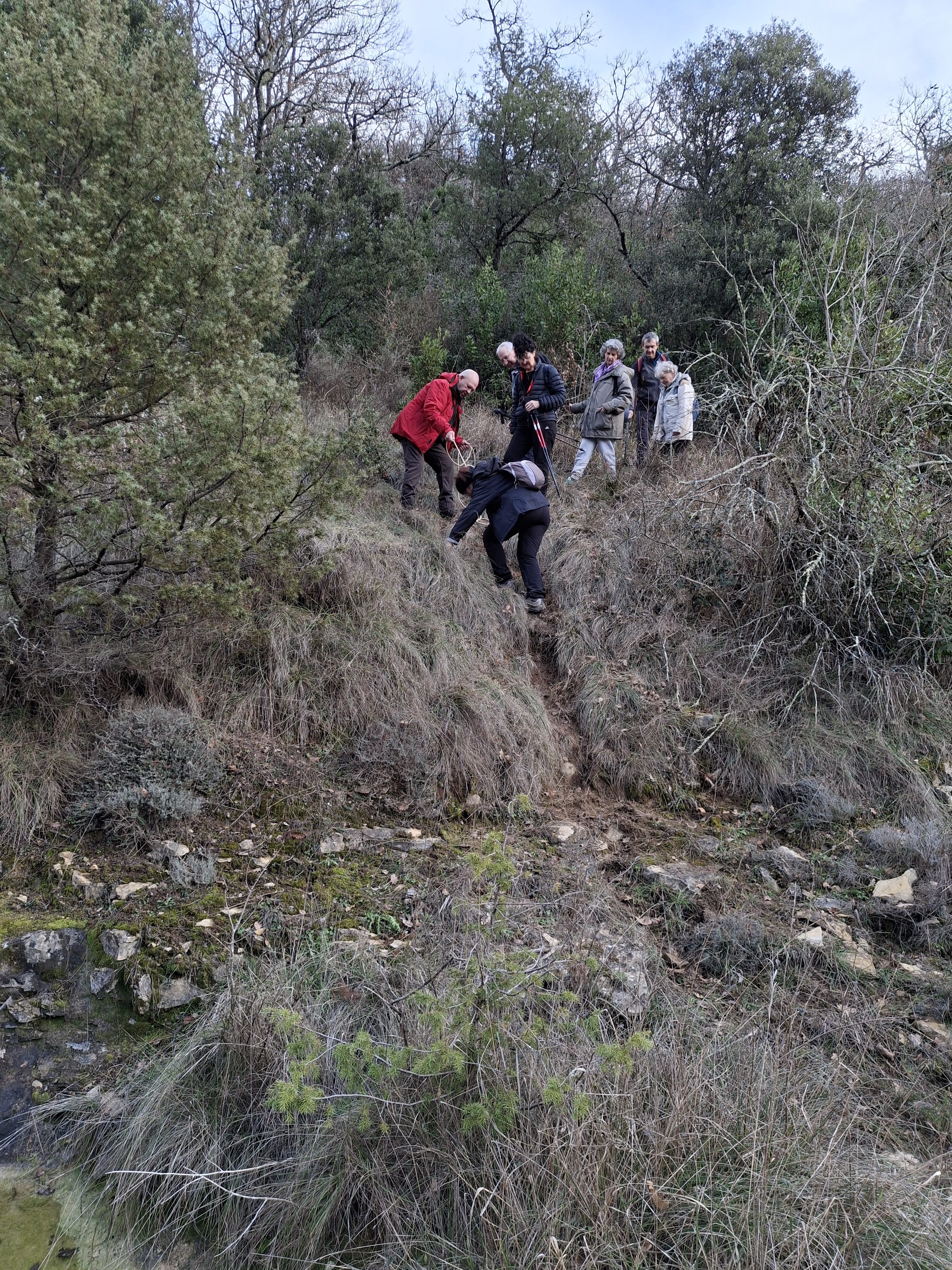 1000015436 19946809561308