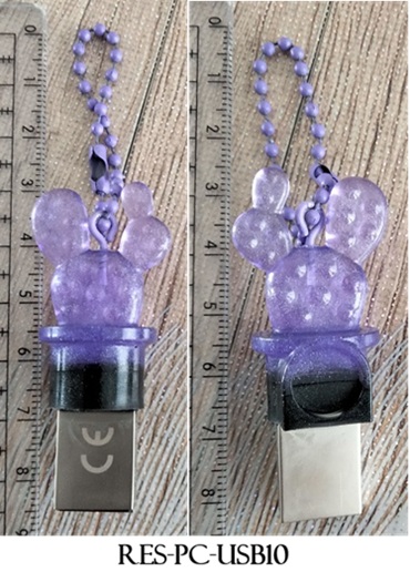 Res pc usb10