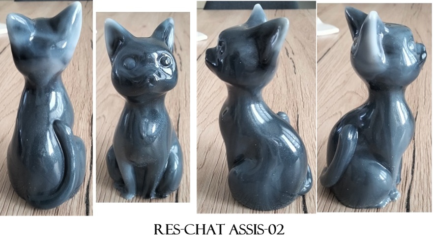 Res chat assis 02