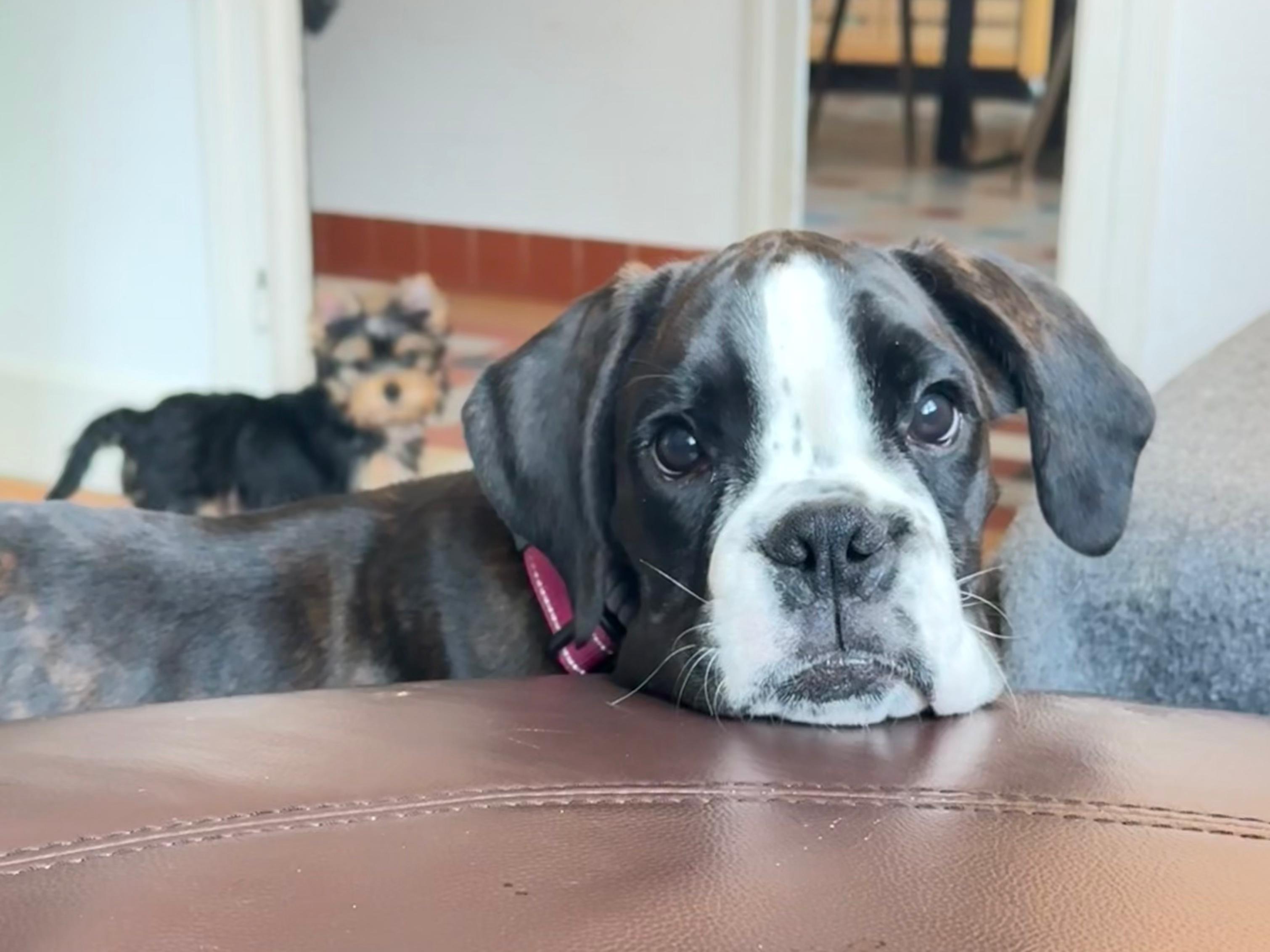 Remerciement et Avenir