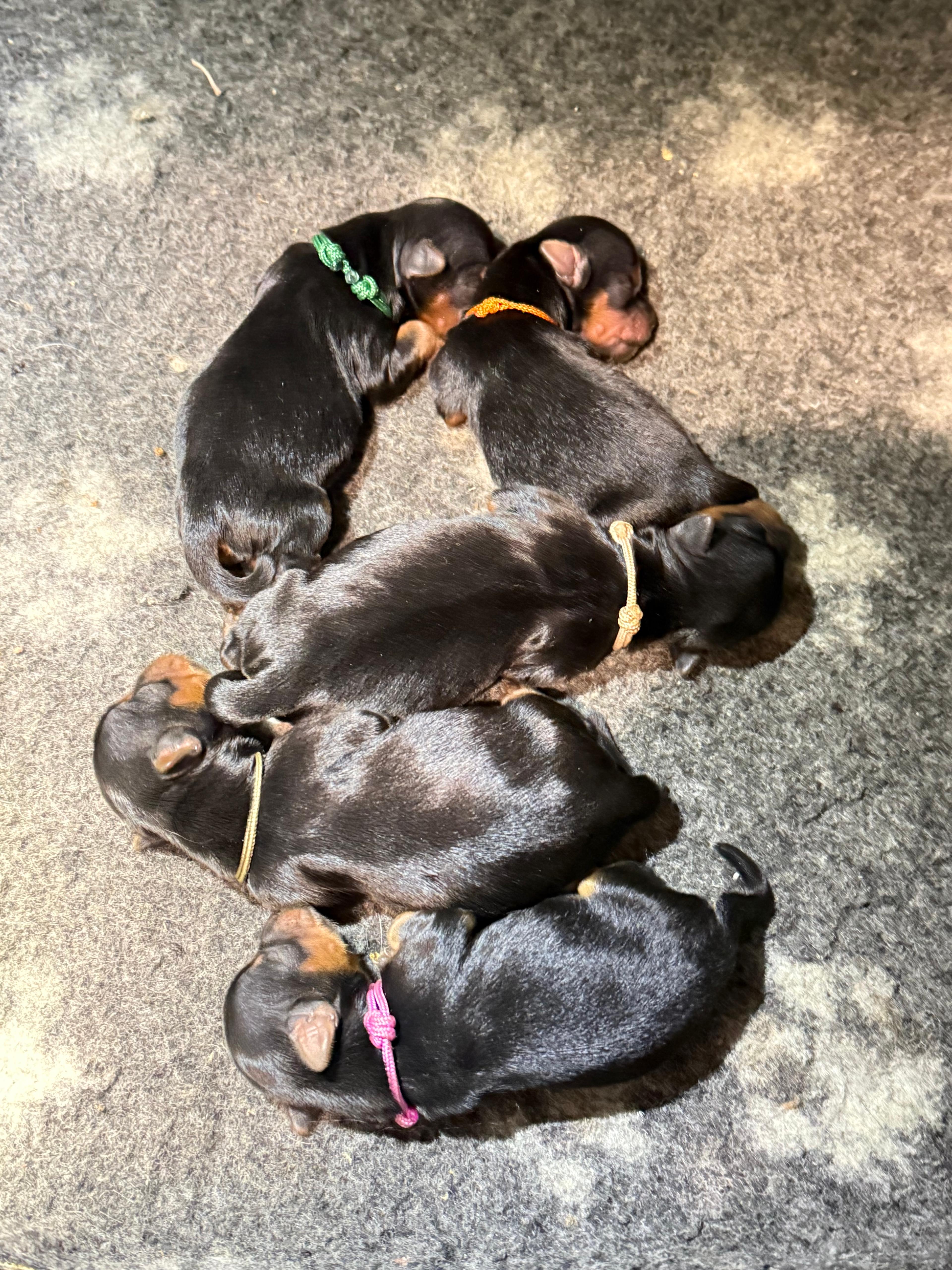 ✨ Meilleurs voeux 2026 ✨