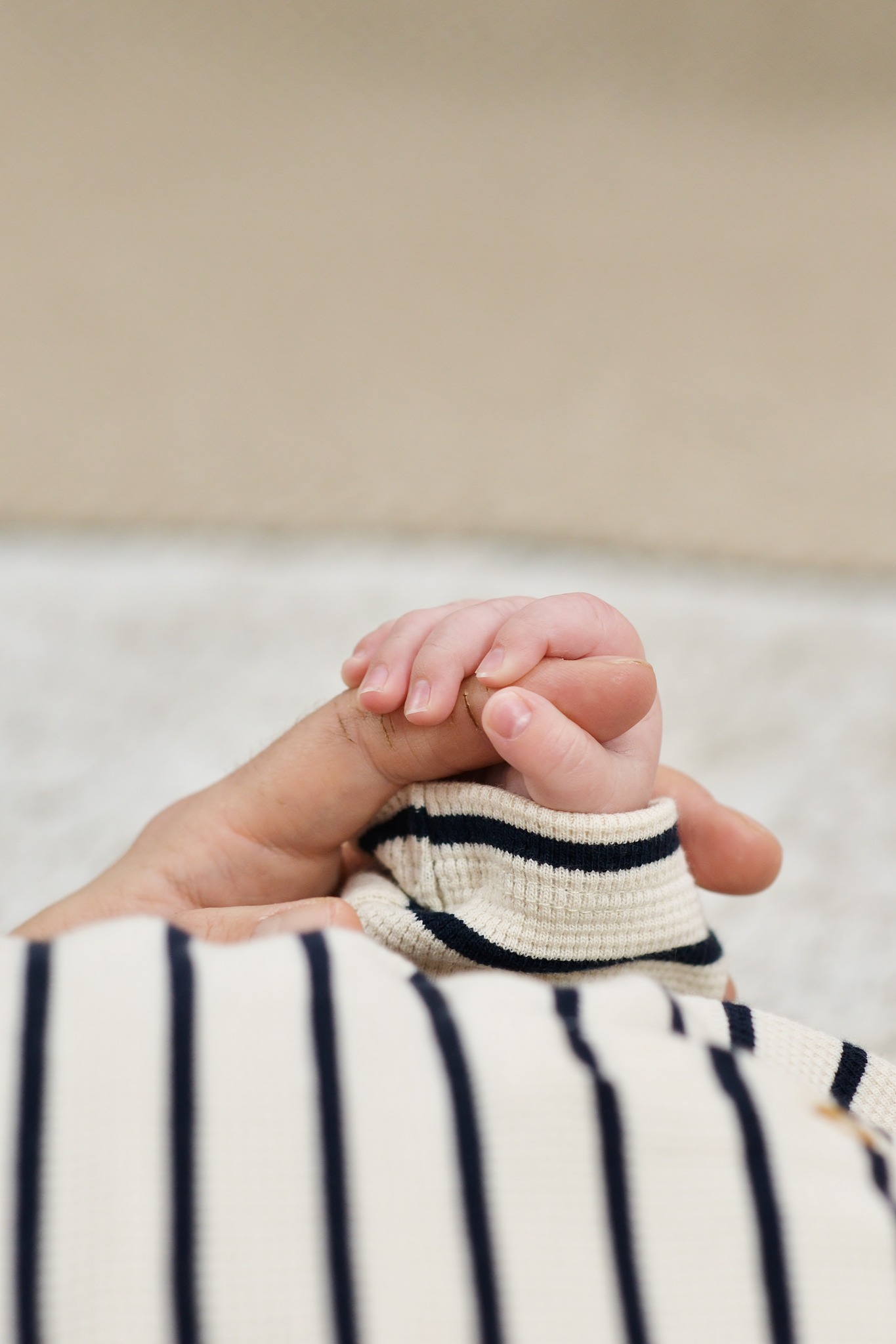 589278334 122268192776219311 2279810364166219555 n