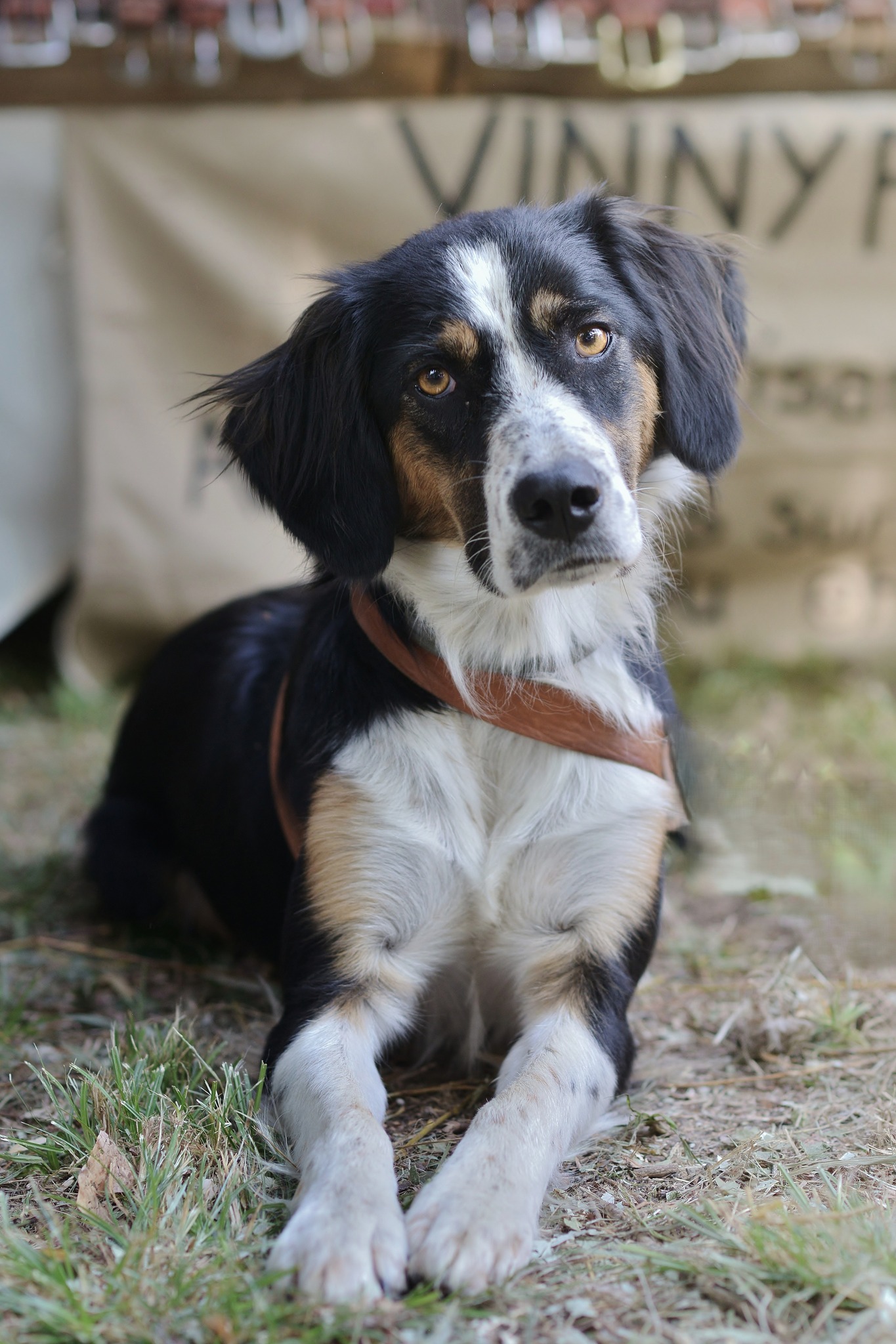 530326451 122250485300219311 7584608282632787363 n