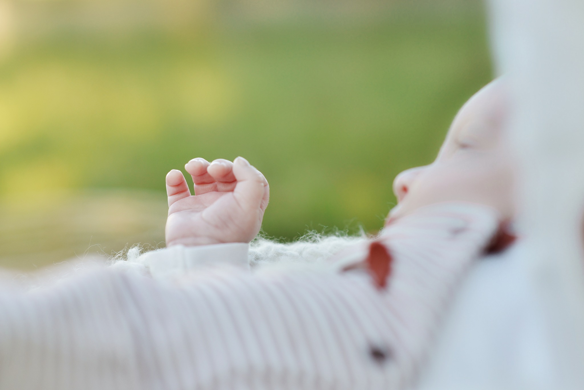 517126987 122245128794219311 6000364301978855619 n