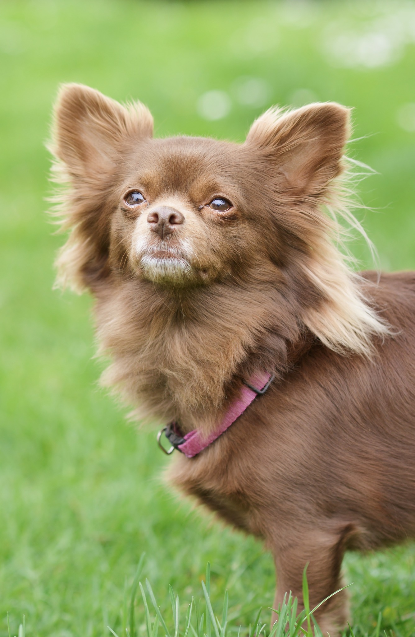 490323351 122226102962219311 3920385226216849535 n