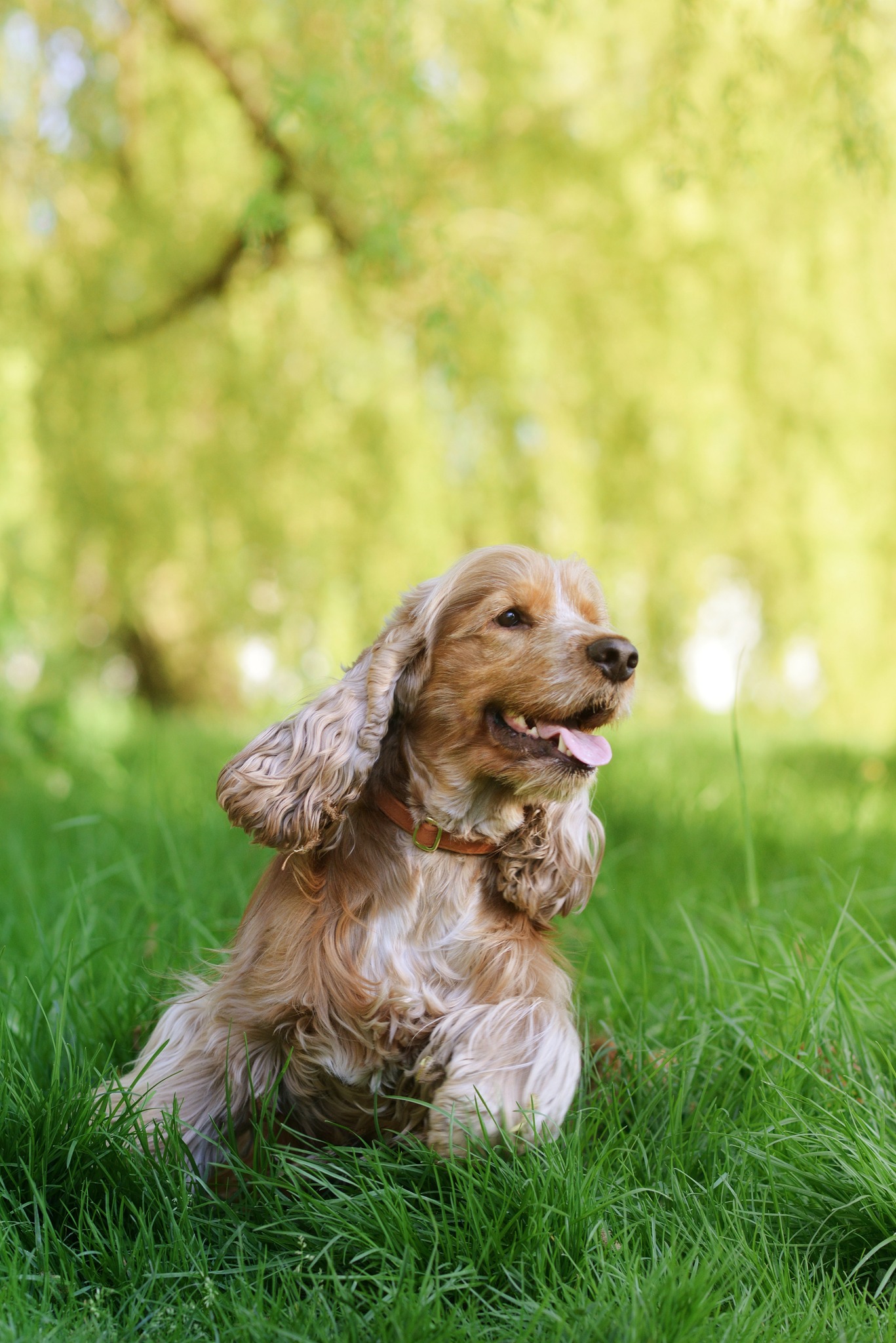 488930941 122224987382219311 2286997348863133342 n