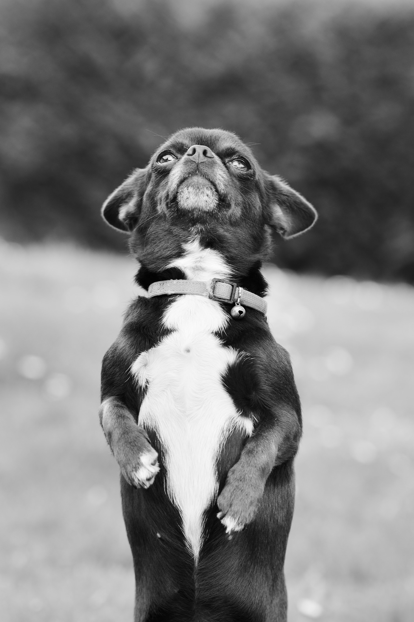 488642919 122223885950219311 2057238683051290198 n