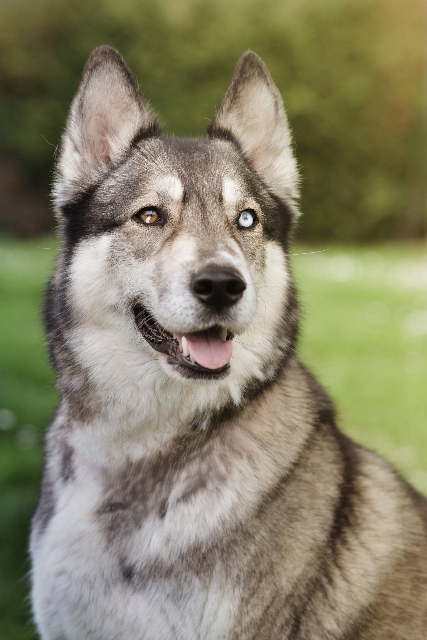 487936358 122222905760219311 4571255989053063750 n