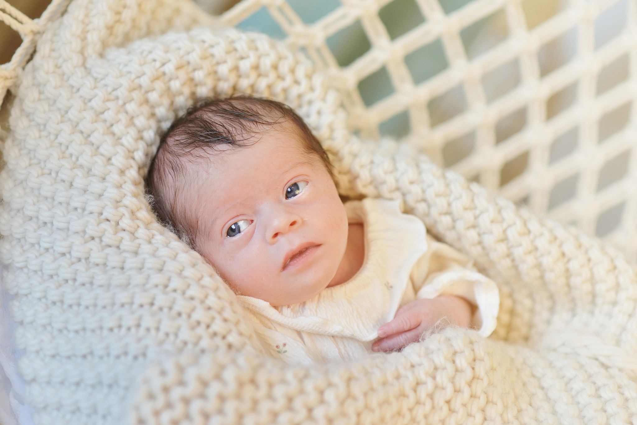 481014815 122209594844219311 1046893991265285692 n