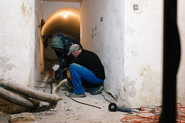 Istockphoto-2245117585-612x612