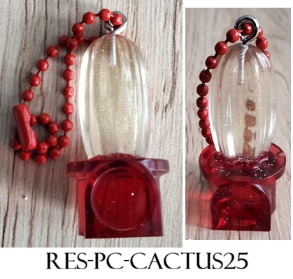 Res pc cactus25