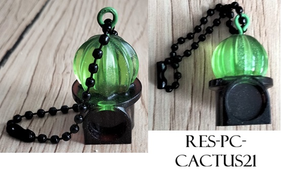 Res pc cactus21