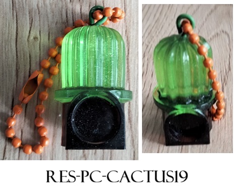 Res pc cactus19