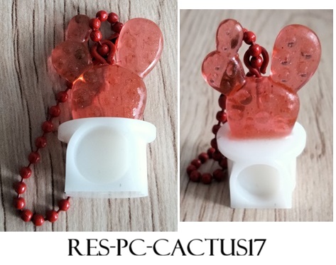 Res pc cactus17