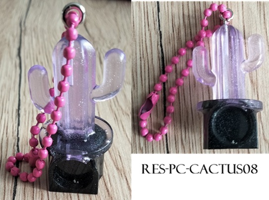 Res pc cactus08