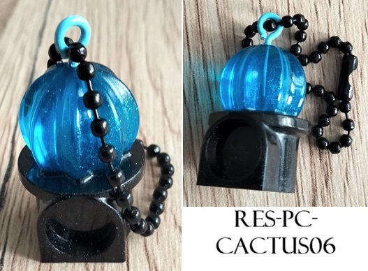 Res pc cactus06
