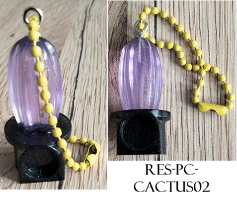 Res pc cactus02