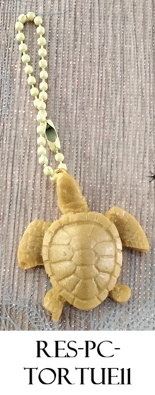 Res pc tortue11