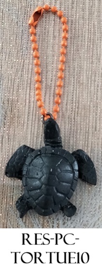 Res pc tortue10