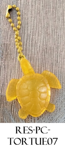 Res pc tortue07