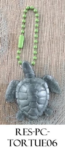 Res pc tortue06