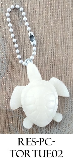 Res pc tortue02