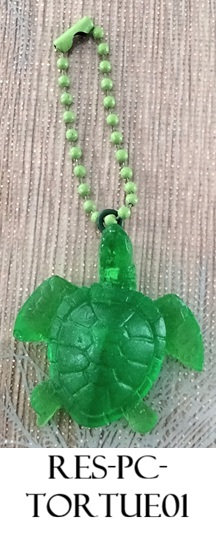 Res pc tortue01