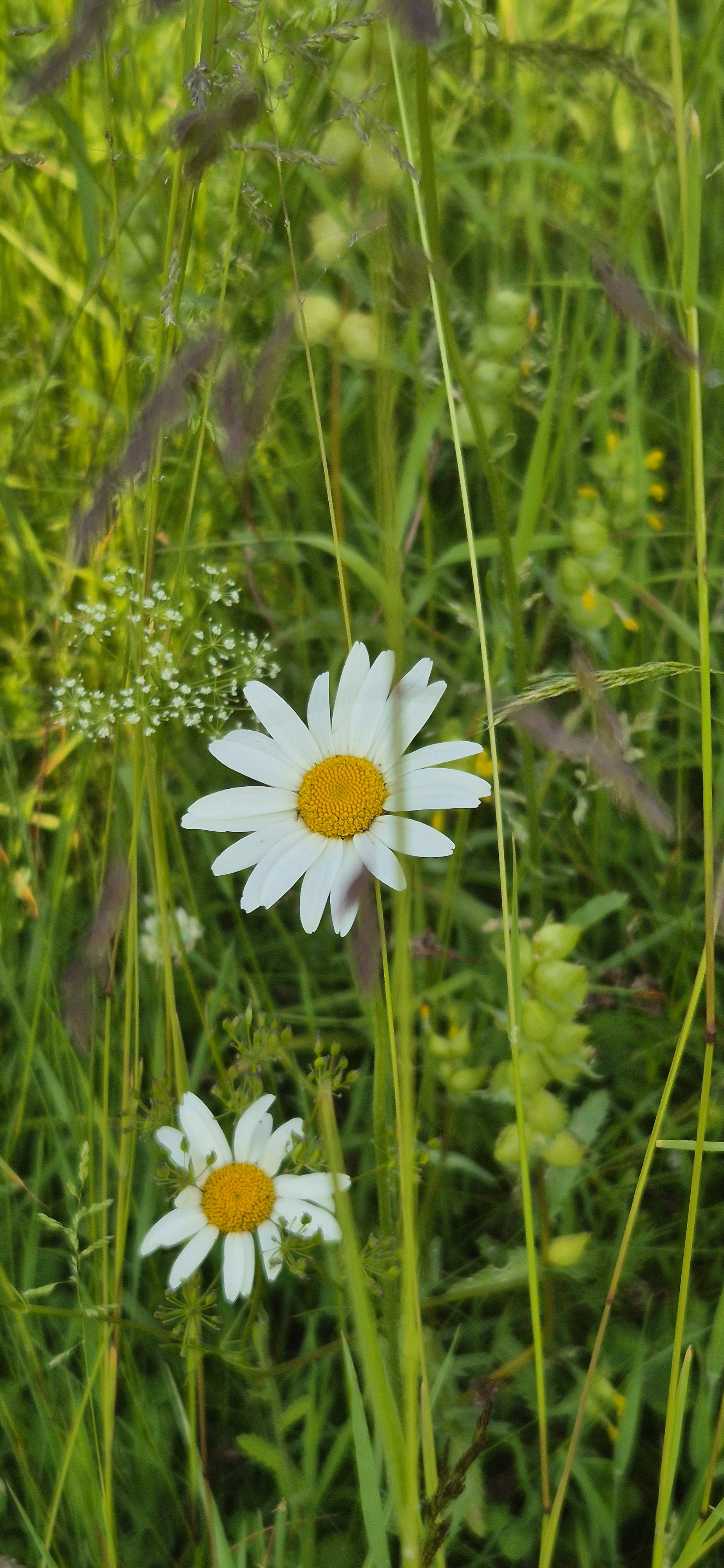20250609 181051