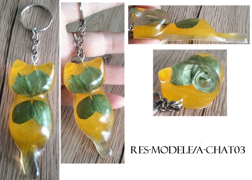 Res modelea chat03