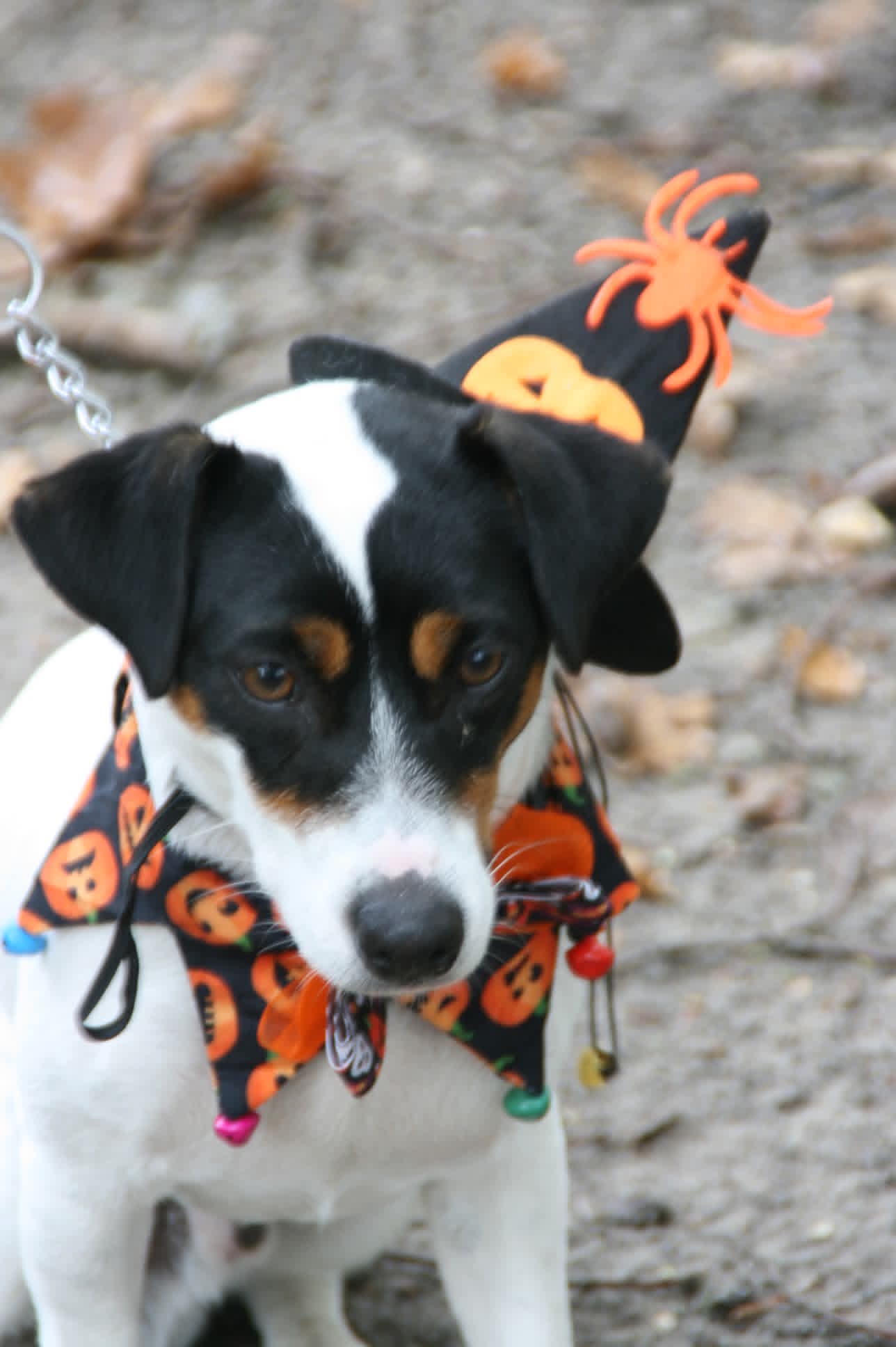 Fb img 1768229536272