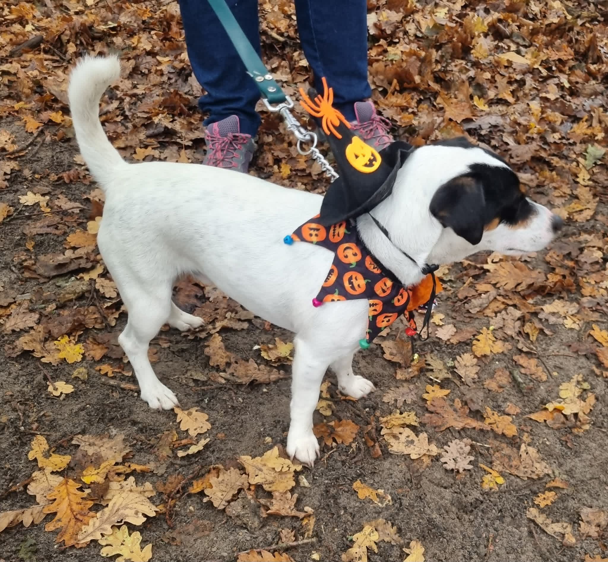 Fb img 1768229591166