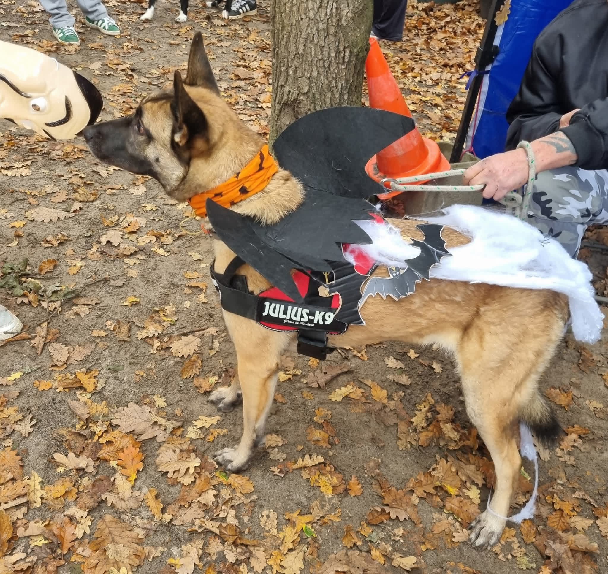 Fb img 1768229594794