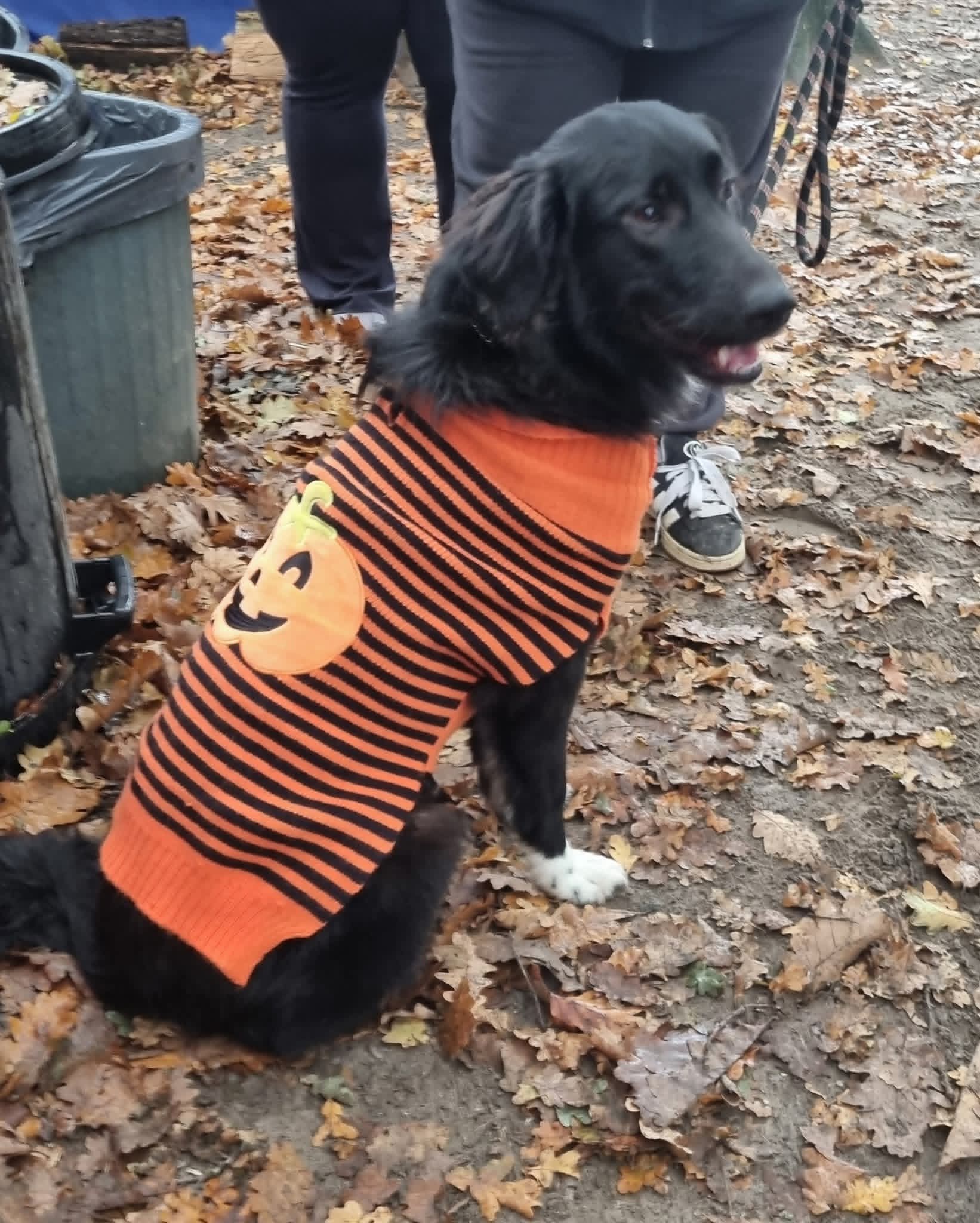 Fb img 1768229600886