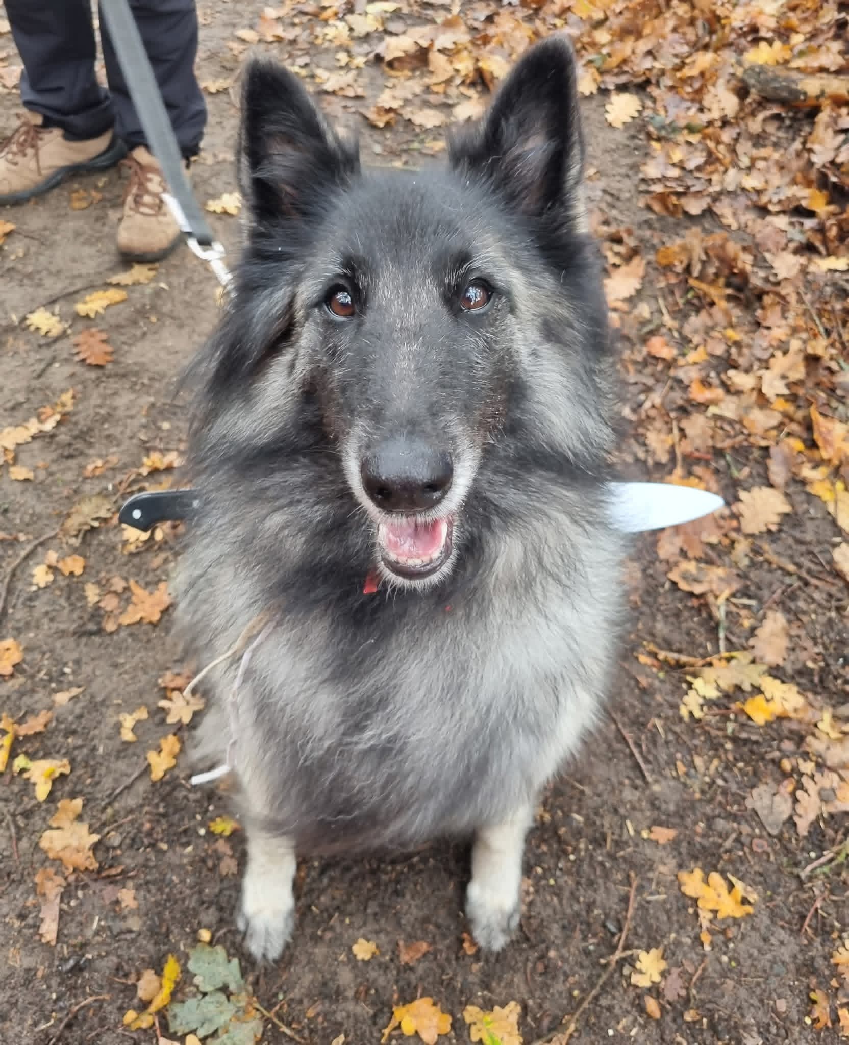 Fb img 1768229605240