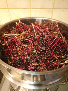 Egqm5 39467271 1152568064892631 2902814764386222080 n