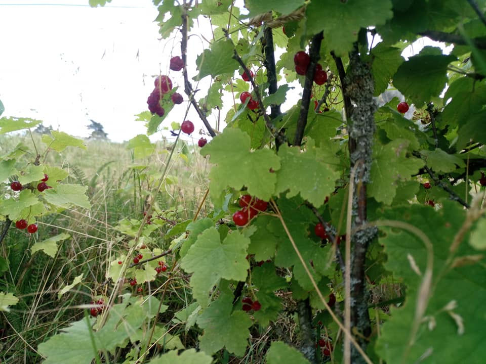 Egqm2 38600722 1137070893109015 881741658993983488 n