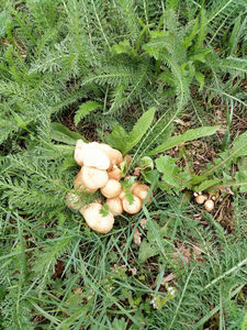 Egqly 32191816 1054984901317615 5197325626943471616 n