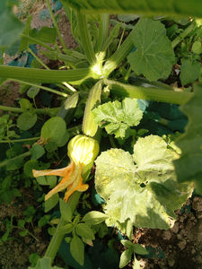 Egqlm img 20180703 200732