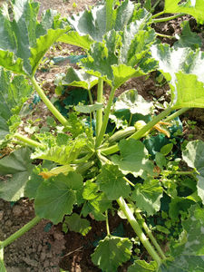 Egqlk img 20180703 200339