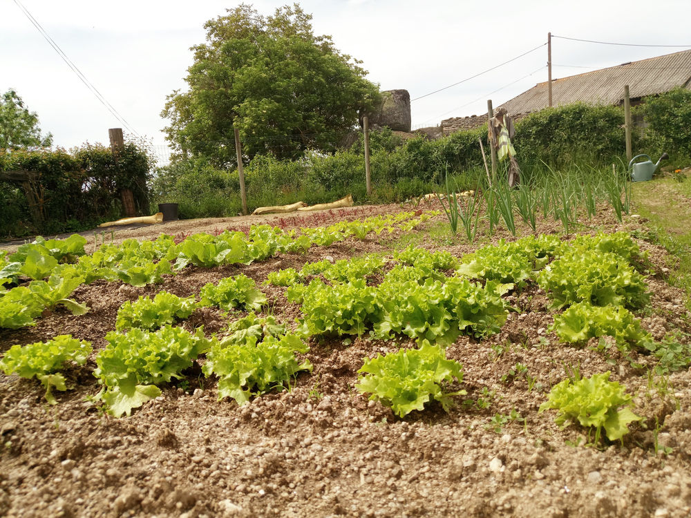 Egqkx img 20180602 155603