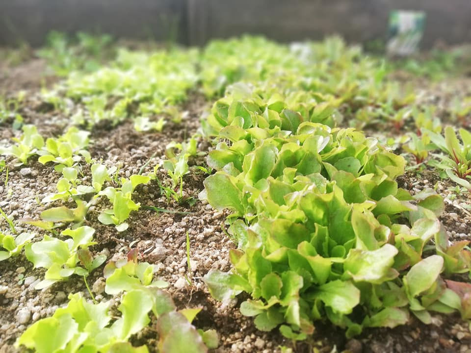 Egla7 94830612 1685868151562617 9158078475142168576 n