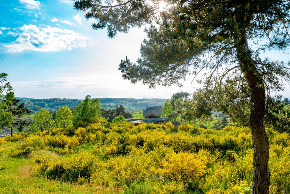 Egl93 62001017 1375157789300323 991599913039036416 n