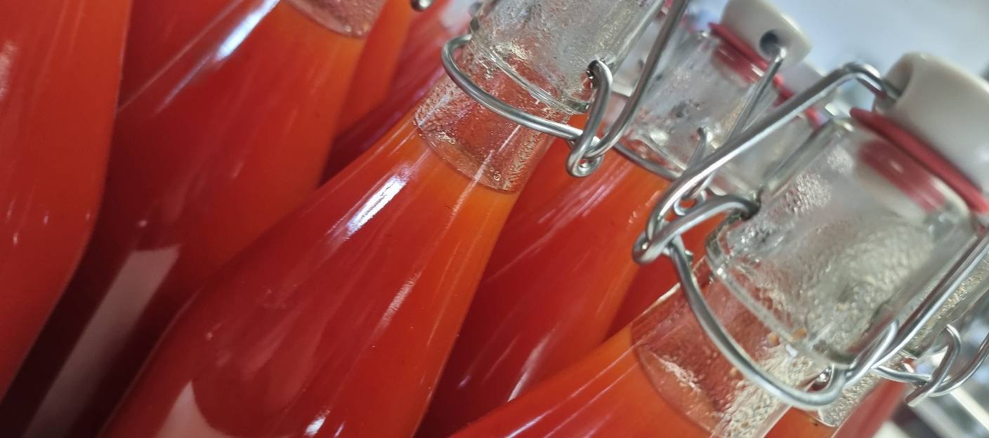 584890745 1423284979798270 8316590301911883687 n