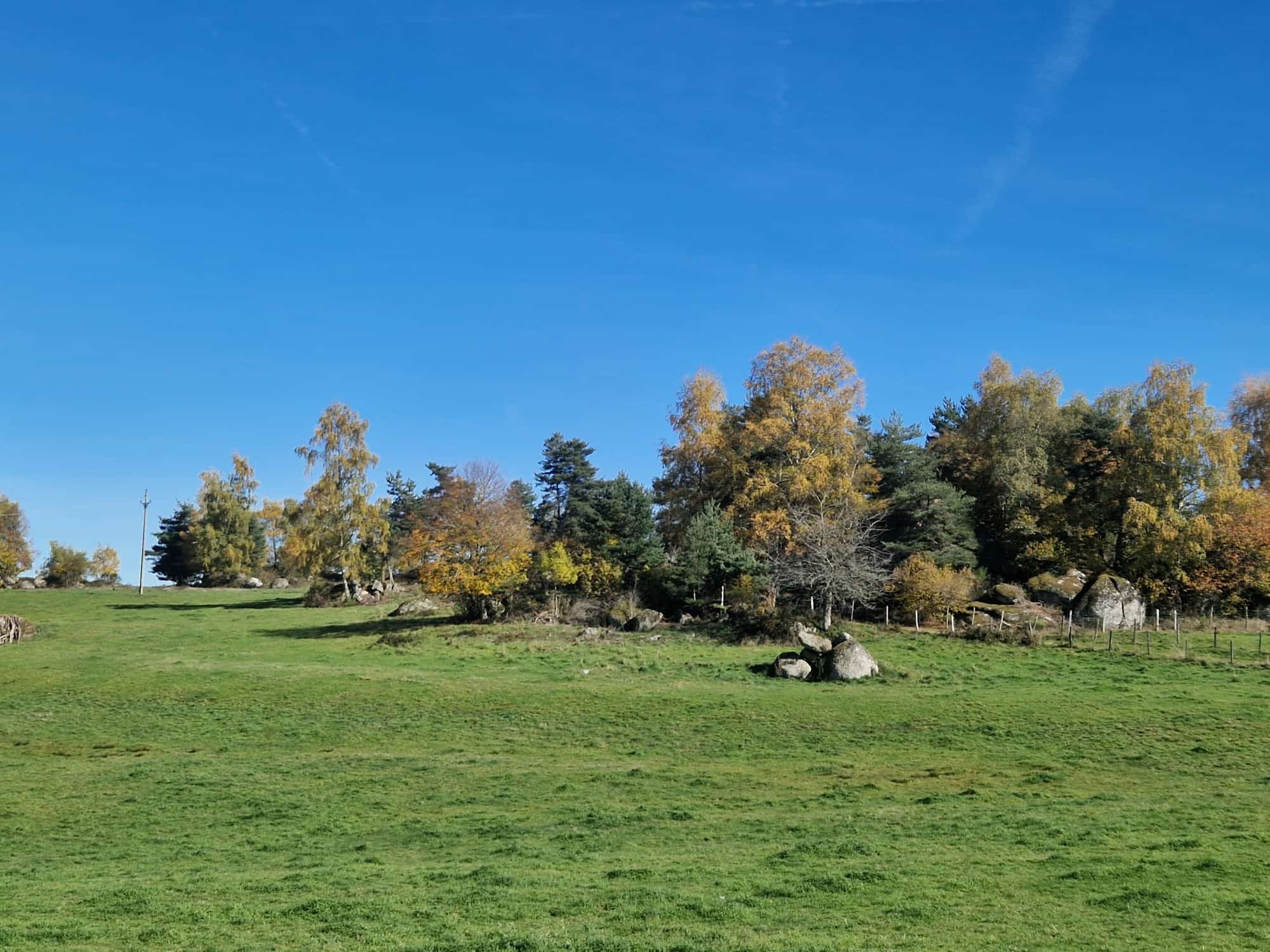 572114052 1406177974842304 856093999232128194 n